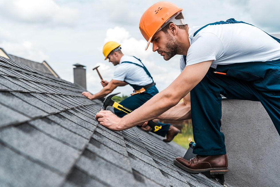 In & Out Roofing Pro